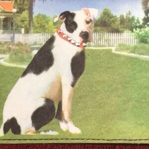 Dog Lovers Gifting Little Rascals Pit Bull Trifold Wallet Unique Copyrighted NWT